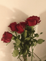 [호우온라인온리전] 선생님 결혼해주세요!