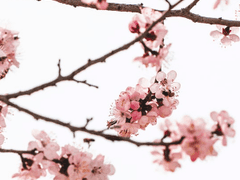 미안한데 개자식은 객기 그런 거 모르겠어~