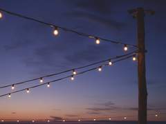 기계는 꿈을 꾸지 않는다.