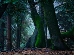 생각지도 못한 일이 벌어지면 겁을 먹고 말아.