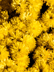 [천지해]一日千秋