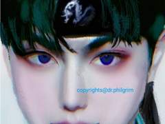 심국지 조비.조조의 장남. 진황제.