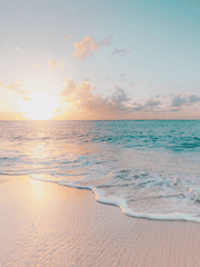 바다찾기 프로젝트