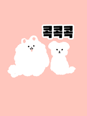 흰털뭉치 까만콩 콕콕콕