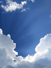 내일의 희망을 좇는 실험쥐