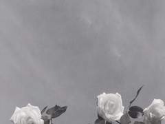 우르르 쾅쾅 천둥소리