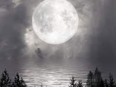 소문이 들려온다.