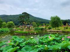 또바기 그린내 4