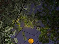 [해희] 잡아줘 下