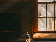 [신해나/2학년/XX]