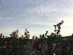 옥상 - 프롤로그