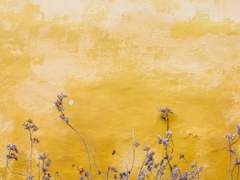 적어도 의미가 되었을