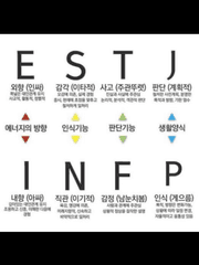 MBTI 보고서