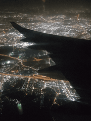 진냥이의 피곤한 나날