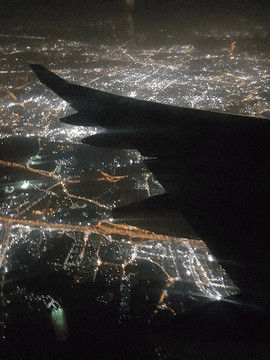 진냥이의 피곤한 나날