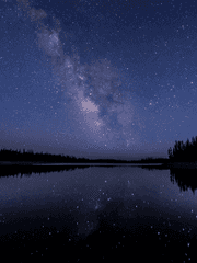 밤의 피에로는 웃었다.