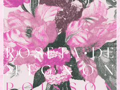 이름을 붙이지 못 한 생명