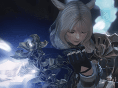 빛의 전사 설정