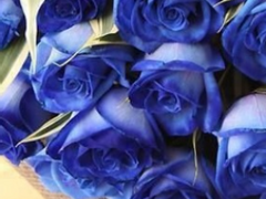 주인공이 악역이 되려는 사정[1]