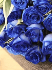 주인공이 악역이 되려는 사정