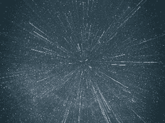 봄바람 세렝게티