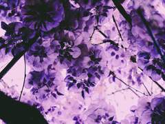 [원담새봄]감정의 기록