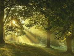 나은애 / xx / 3반