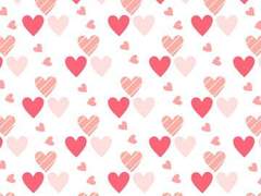 뮤리엘 에볼(Muriel Evol)/XY/20/172