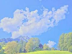 여름 하늘에 소낙비