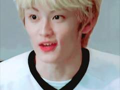 [고르기] 곰돌이 한 마리