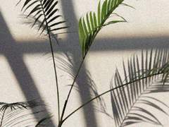 아휘랑 보영이 재회한 아휘른썰