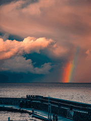 우리의 여름은,