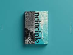 [작업 완료] principle