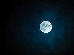 잠들지 못하는 밤