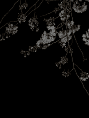 [신킨] 않는 사람