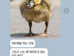 쥬쥬대 하트브레이커 1