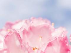 멍청한 그 아이