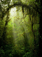 [사스사쿠] 겨울숲