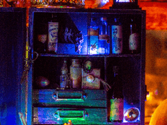 포이즈너(조직)