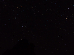 섹못방에 갇히긴 했는데