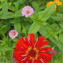 사주봐주는 사람