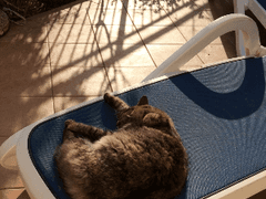 6. 재발 혹은 그냥 약해짐?