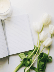 프린스 다이어리