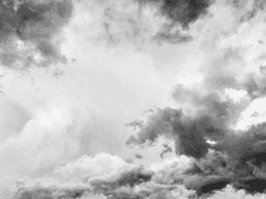 소네트 페트라르카에게