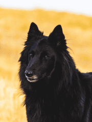 [해리포터]단편