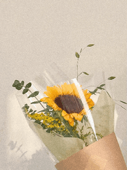 Candace Catherine Carpenter