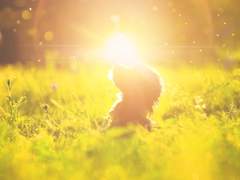 작전명, 더블 엘리트!