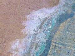 채유원/실용음악과/1학년