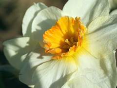 Why are you leaving me?