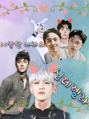 이상한 나라의 신데렐라